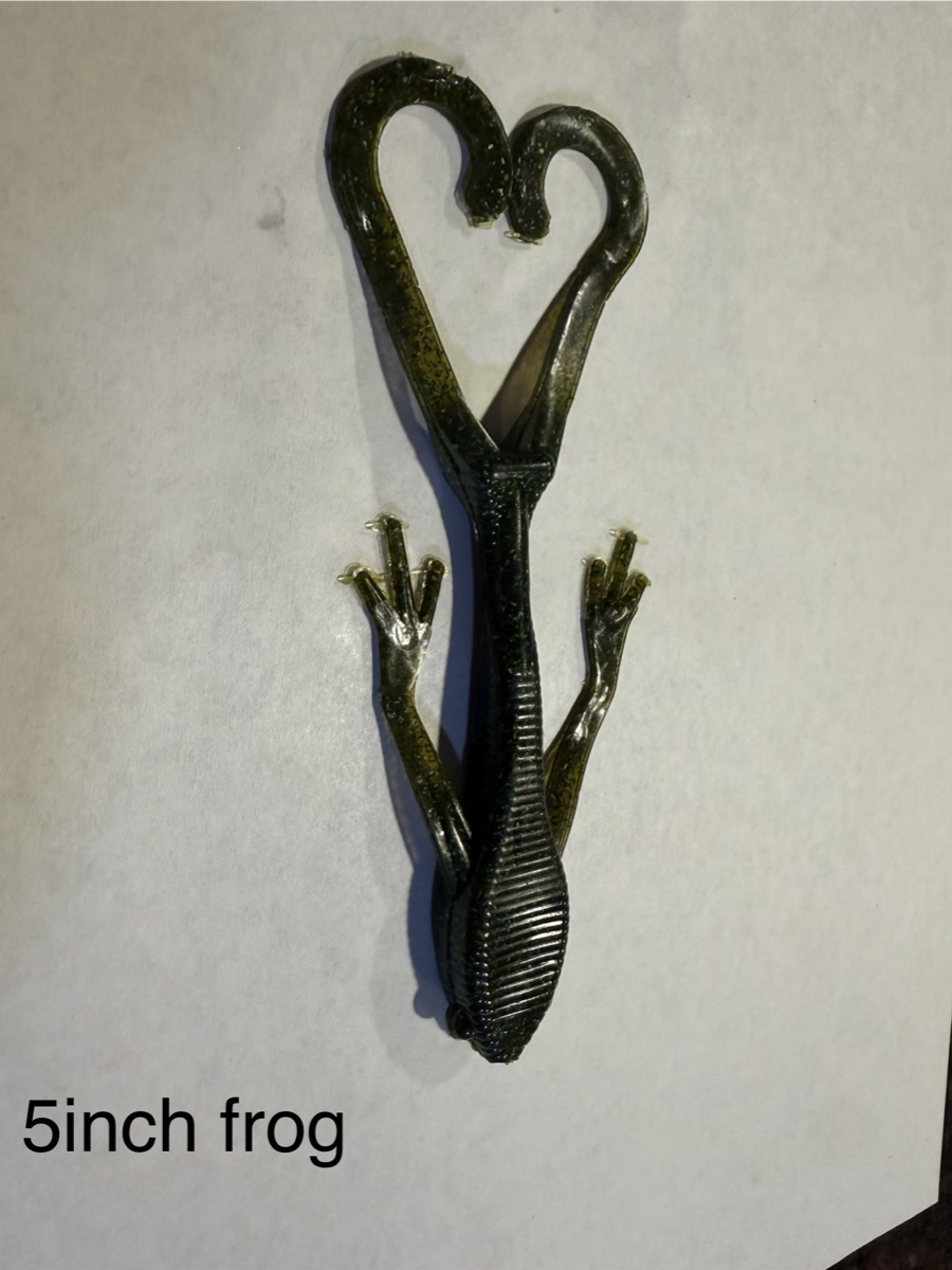5" Frog
