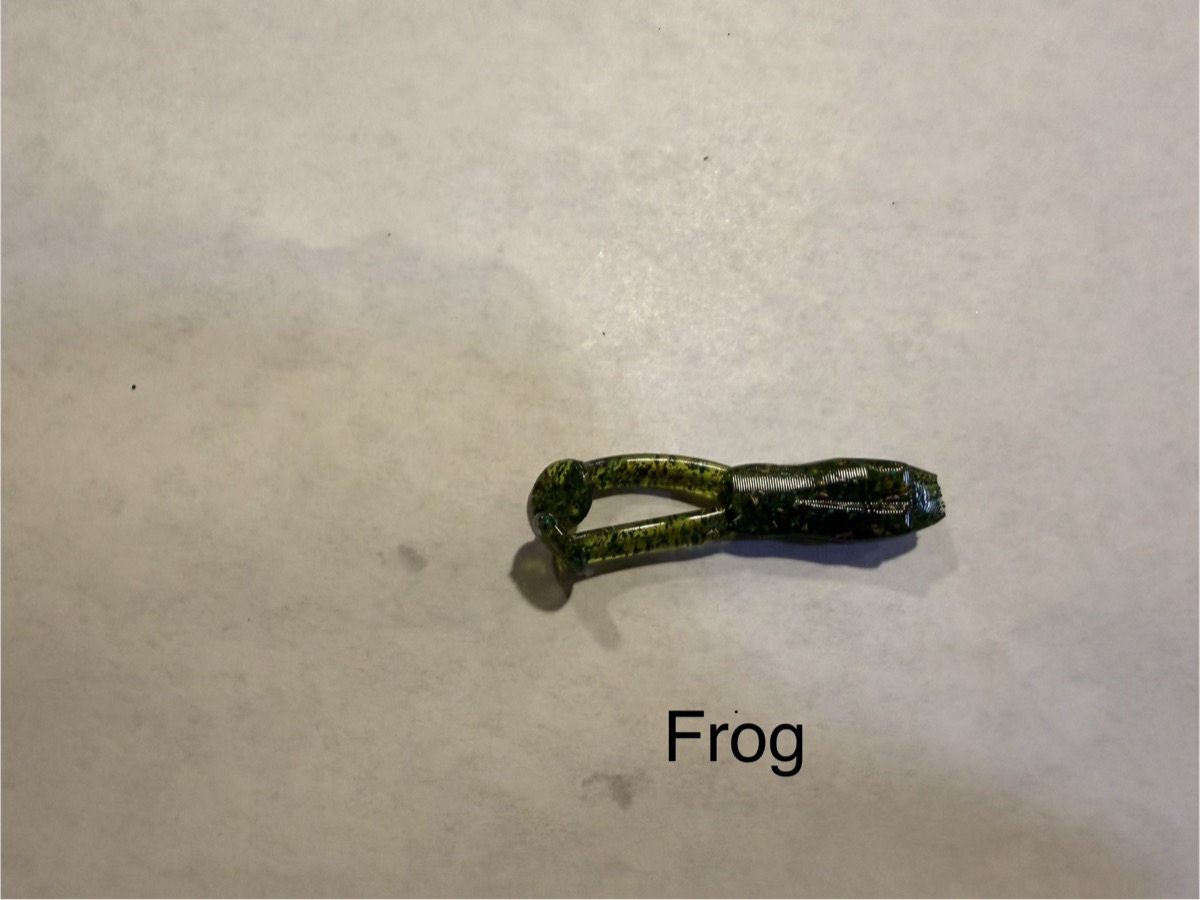 Frog