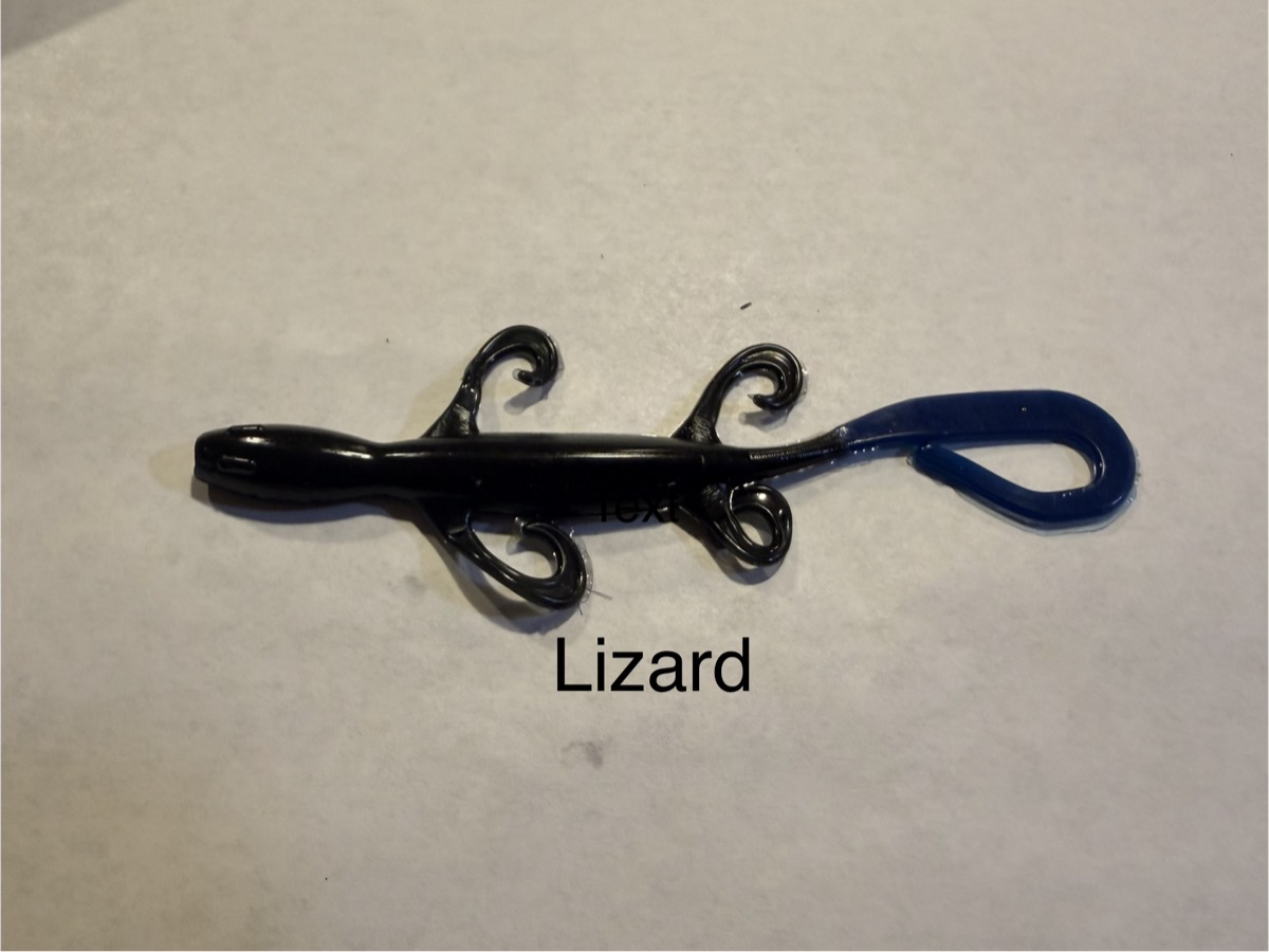 Lizard