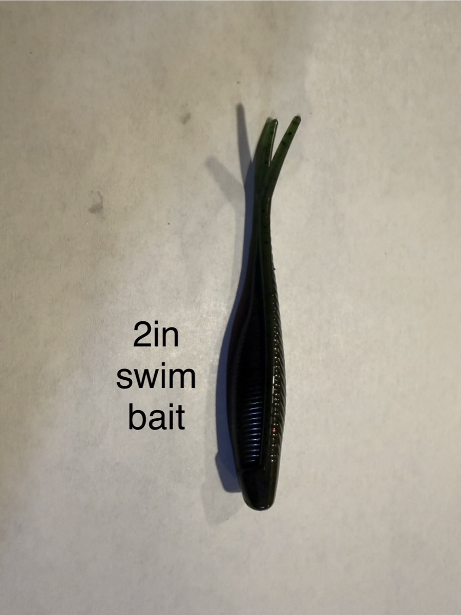 2" Swim Bait