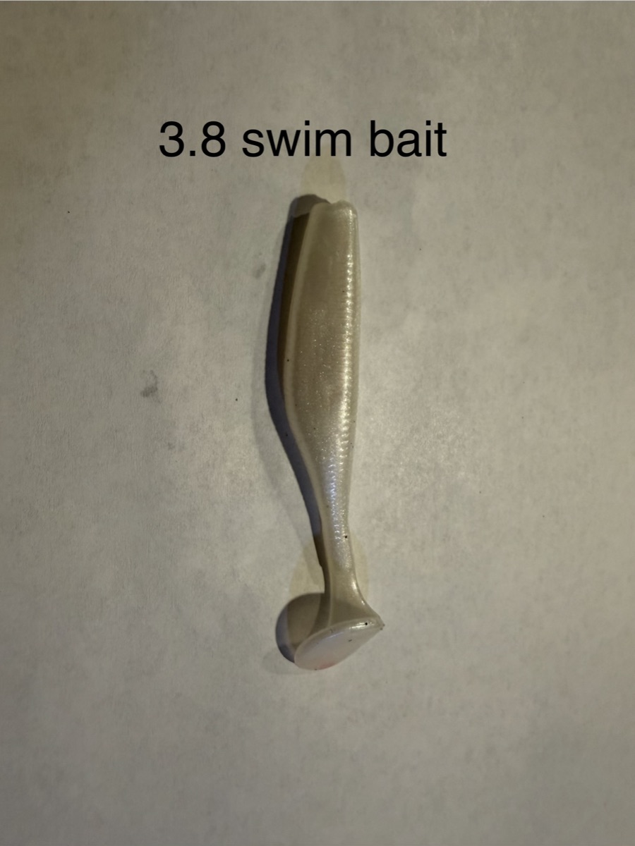 3.8" Swim Bait